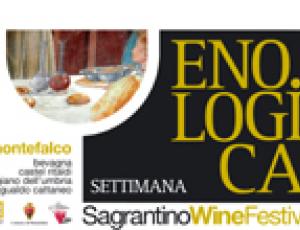 Sagrantino Wine Festival.jpg