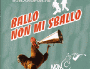 ballo non mi sballo.gif