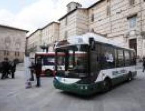 bus ecologici3.jpg