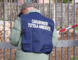 carabinieri_noe.jpg