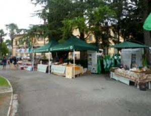 castiglione mercatino.jpg