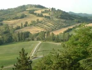 umbria_scene.jpg